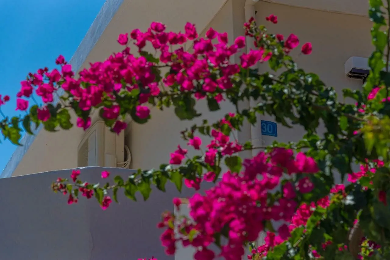 Seaside Home Réthymnon Appartement